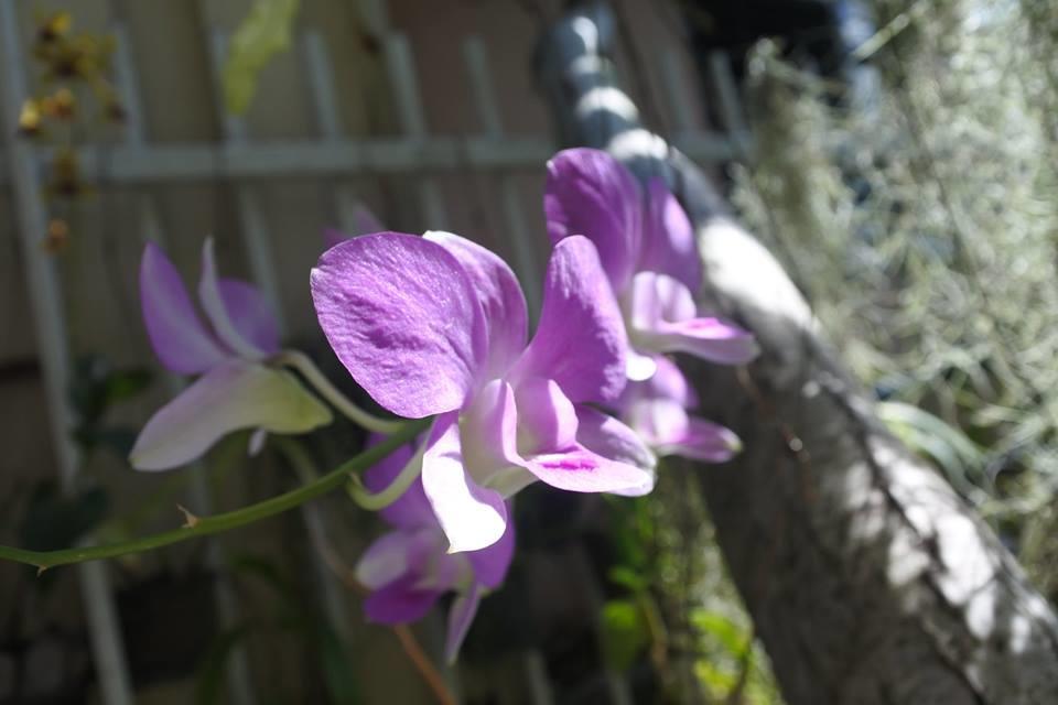 Baannueng@Kathu Hotel Phuket Exterior foto